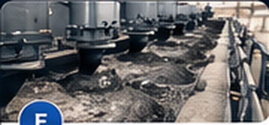 Flotation cells and froth circuit